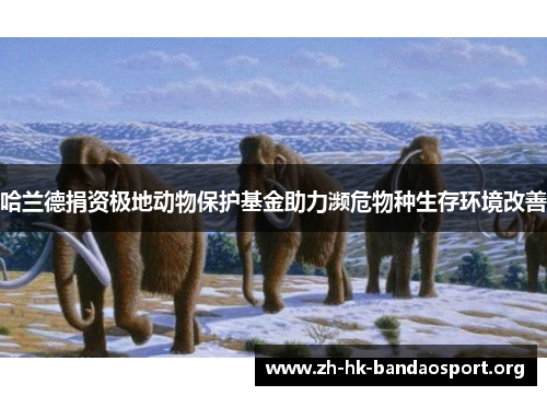 哈兰德捐资极地动物保护基金助力濒危物种生存环境改善