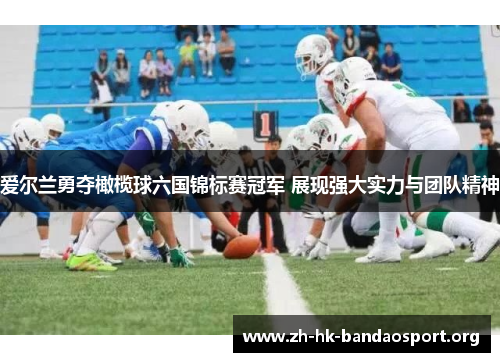 爱尔兰勇夺橄榄球六国锦标赛冠军 展现强大实力与团队精神