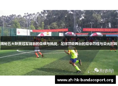 揭秘五大联赛冠军背后的荣耀与挑战，足球顶级舞台的艰辛历程与荣光时刻