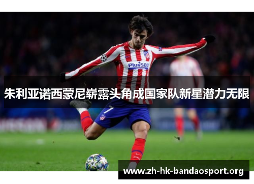 朱利亚诺西蒙尼崭露头角成国家队新星潜力无限