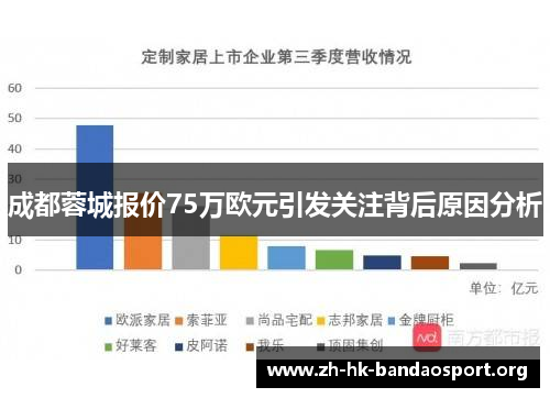 成都蓉城报价75万欧元引发关注背后原因分析