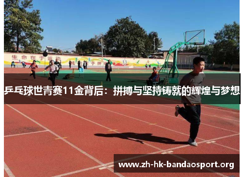乒乓球世青赛11金背后：拼搏与坚持铸就的辉煌与梦想