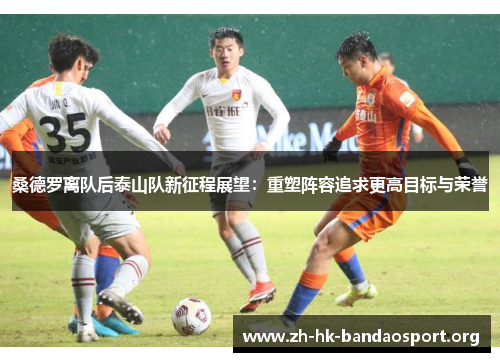 桑德罗离队后泰山队新征程展望：重塑阵容追求更高目标与荣誉