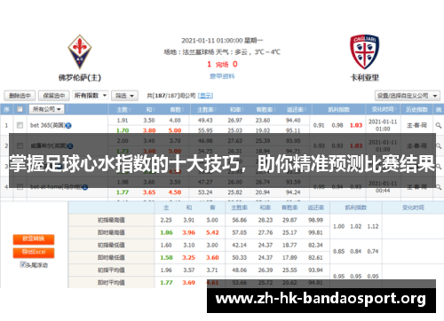 掌握足球心水指数的十大技巧，助你精准预测比赛结果
