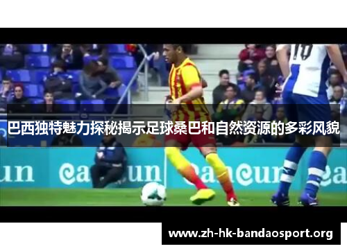 巴西独特魅力探秘揭示足球桑巴和自然资源的多彩风貌