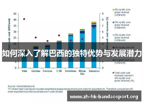 如何深入了解巴西的独特优势与发展潜力