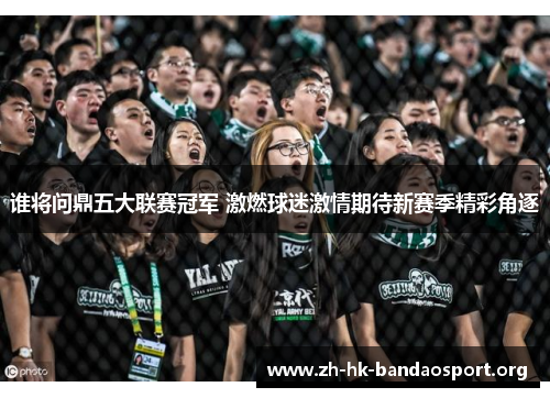 谁将问鼎五大联赛冠军 激燃球迷激情期待新赛季精彩角逐